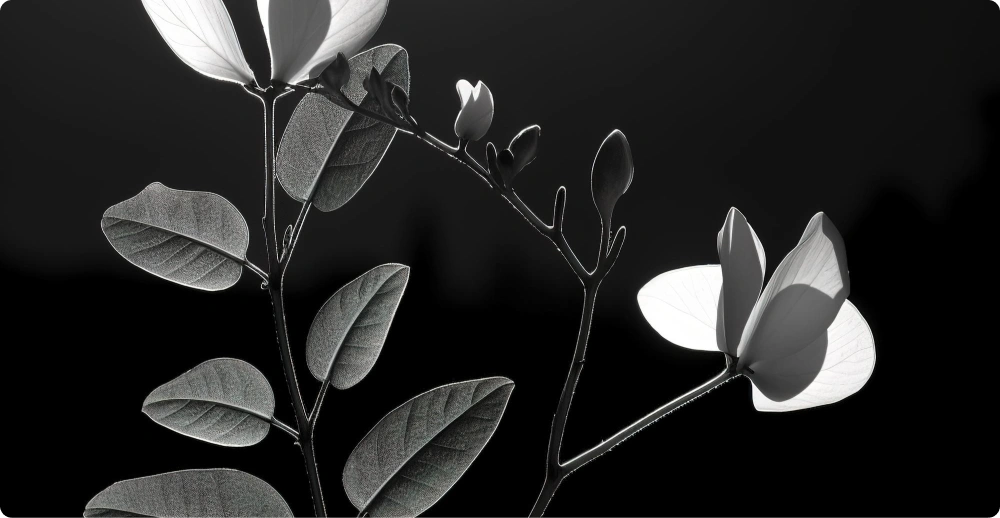 service003 service003